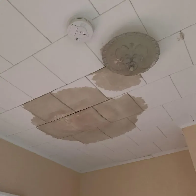Ceiling Water Damage Repair in Elwood, NE