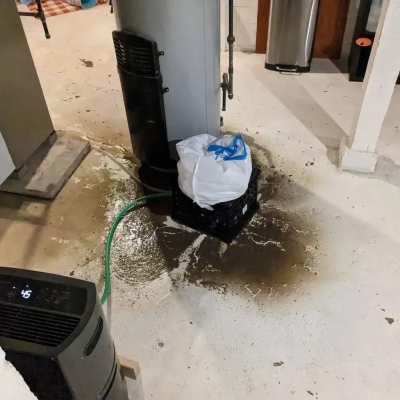 Sewage Backup Cleanup Service in Elwood, NE